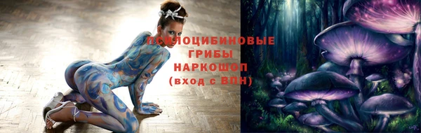 ешки Арсеньев