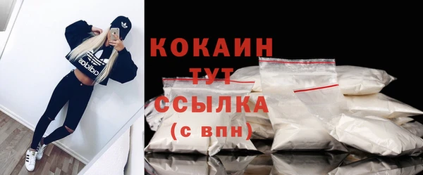 гидра Армянск
