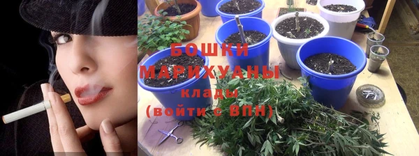 прущие крисы Аркадак