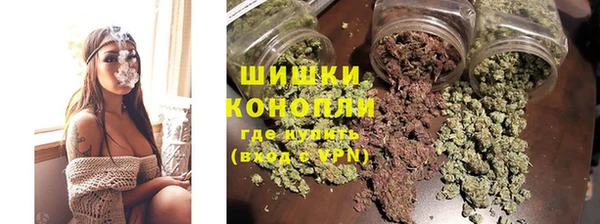 ешки Арсеньев