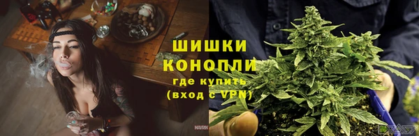 ешки Арсеньев